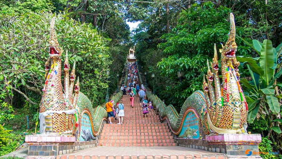 Chiang Mai: Doi Suthep, Wat Pha Lat & Wat Umong Spanish Tour - Who should book this Spanish tour?