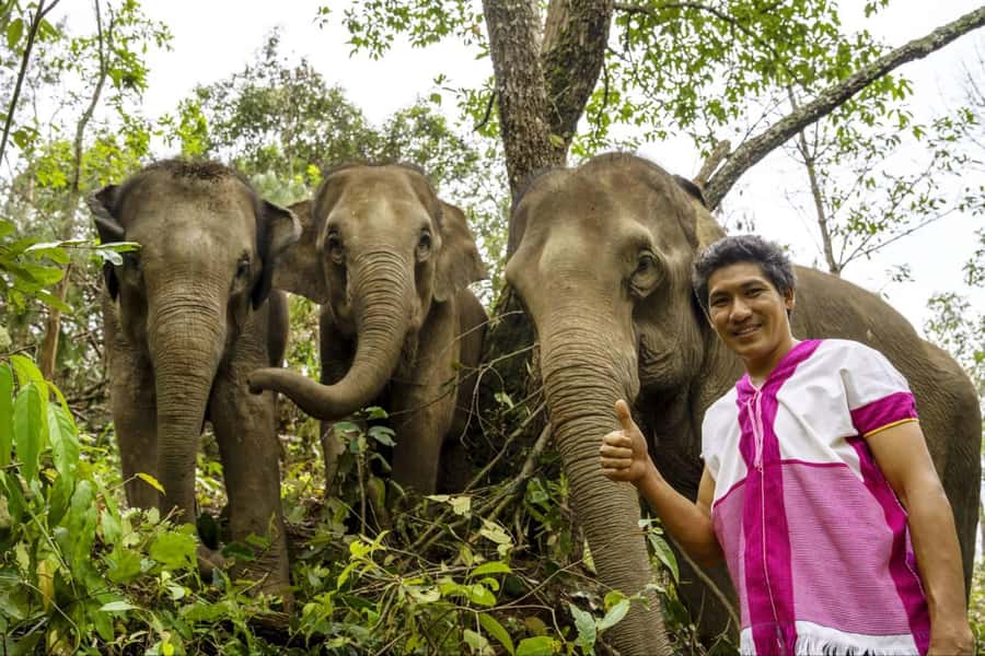 Chiang Mai: Elephant Dream Project Sanctuary - Full Day - Waterfall relaxation at 2:00 PM