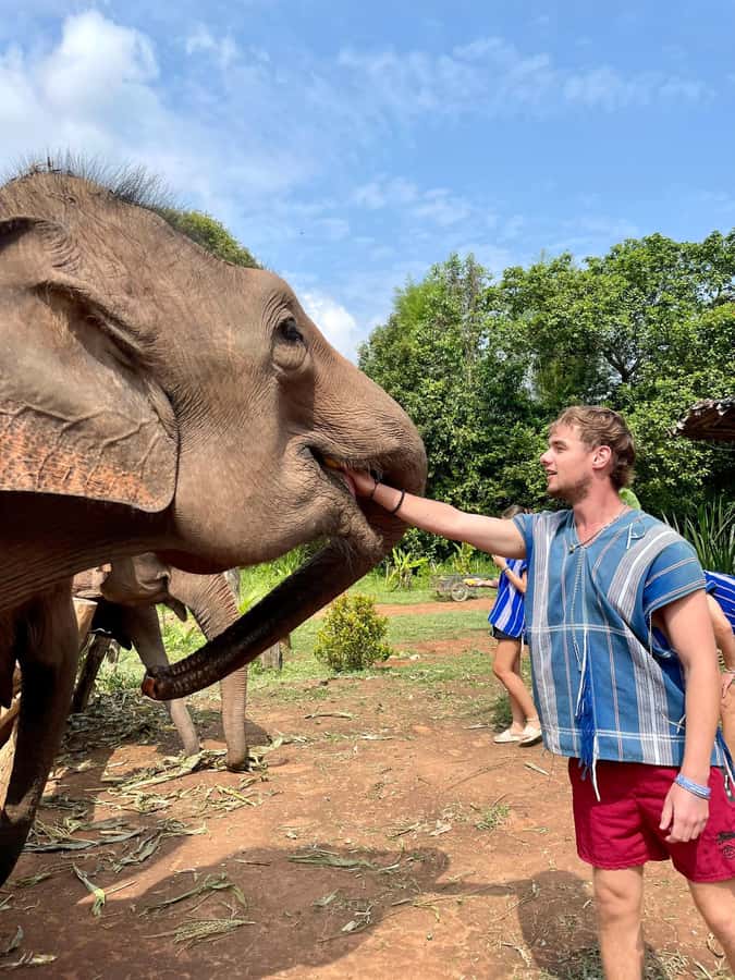 Chiang Mai: Elephant Dream Project Sanctuary - Full Day - What $73 buys you in an 8-hour ethical elephant experience
