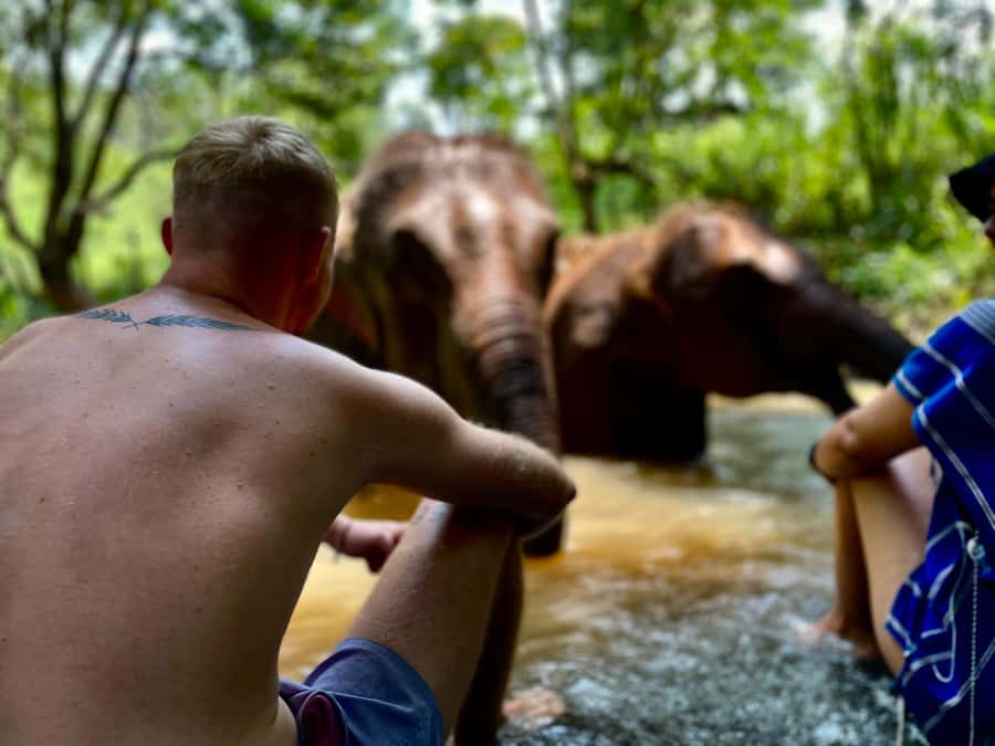 Chiang Mai: Elephant Dream Project Sanctuary - Full Day - Who this Chiang Mai elephant sanctuary day trip suits best