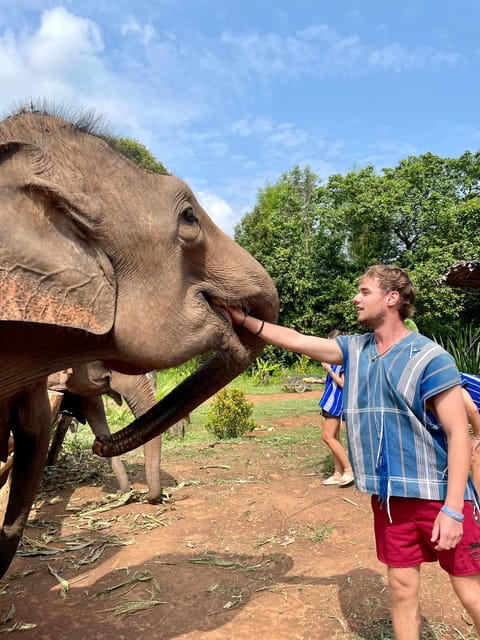 Chiang Mai: Elephant Dream Project Sanctuary - Half-Day - Morning Pickup And The 1.45-Hour Drive That Sets Expectations