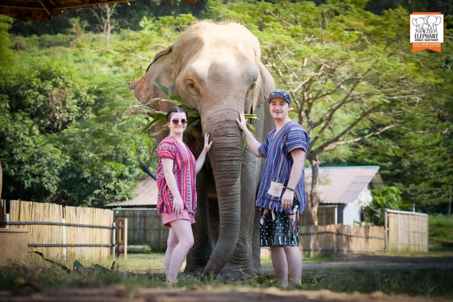 Chiang Mai Elephant Jungle Sanctuary &Mama Noi Cooking Class - Morning Pickup To the Elephant Jungle Sanctuary