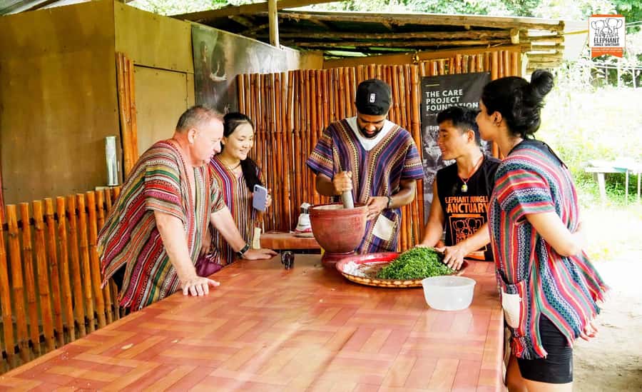 Chiang Mai Elephant Jungle Sanctuary &Mama Noi Cooking Class - Lunch at the Sanctuary, Then Back Out to the City