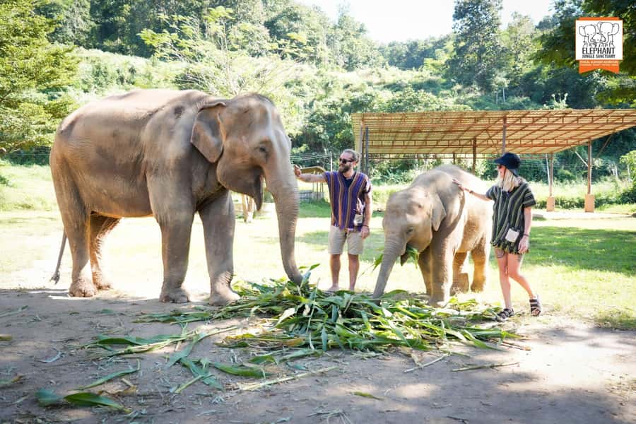 Chiang Mai Elephant Jungle Sanctuary &Mama Noi Cooking Class - Chiang Mai Market Stop: Ingredients With a Story