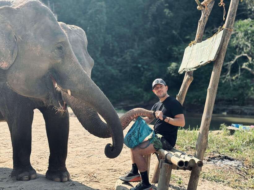 Chiang Mai: Elephant Sanctuary Feeding Program Half-Day Tour - Photos that actually capture the moment