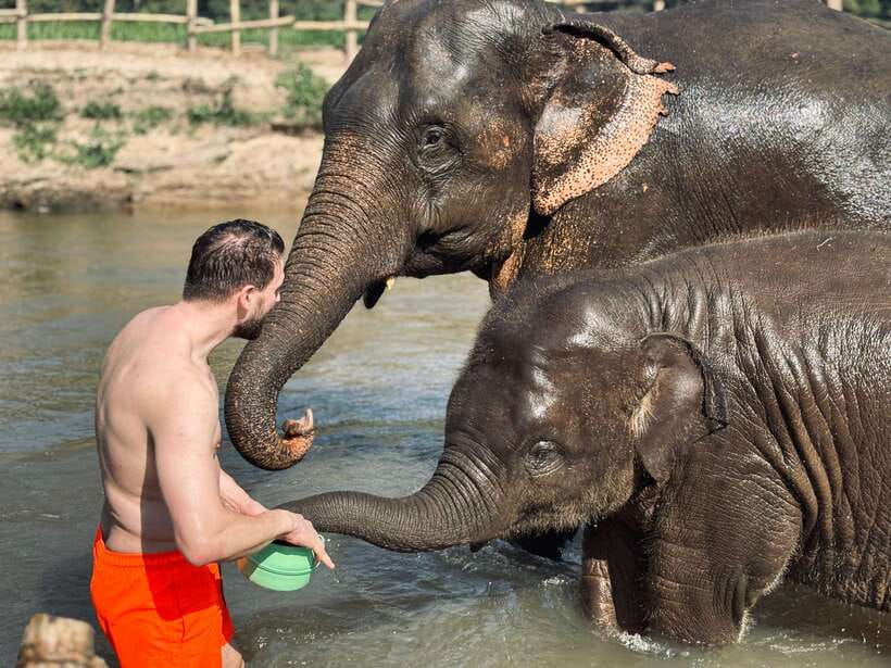 Chiang Mai: Elephant Sanctuary Feeding Program Half-Day Tour - What to bring so your half-day stays comfortable