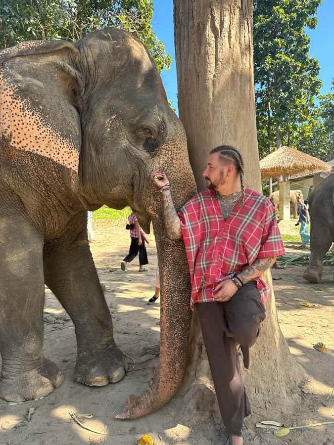 Chiang Mai: Elephant Sanctuary Guided Tour in Spanish - Morning Pickup and the 60-Minute Drive to the Sanctuary