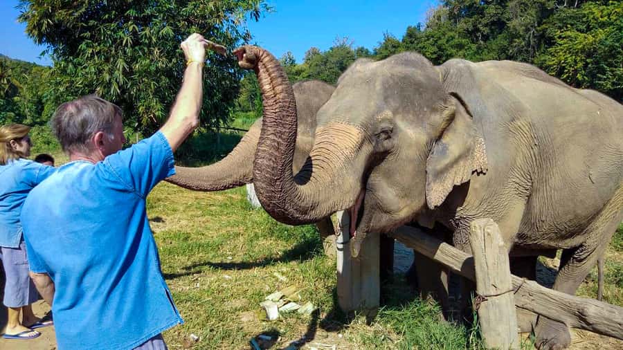 Chiang Mai: Elephant Sanctuary Guided Tour in Spanish - Bathing Time: What It Means and How to Plan for It