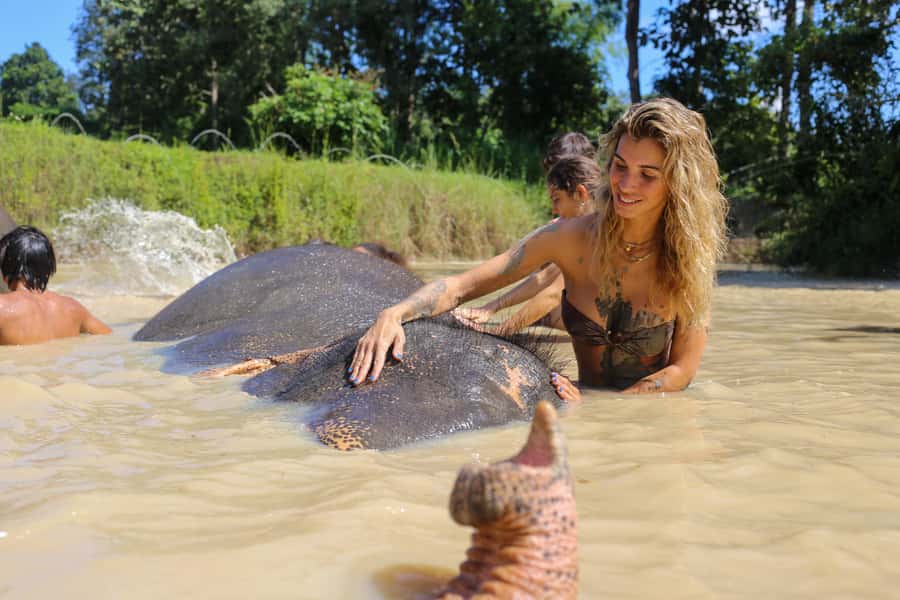Chiang Mai: Elephant Sanctuary Guided Tour in Spanish - What to Bring for a Wet, Sun-Heavy Elephant Day