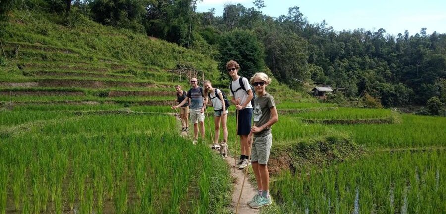 Chiang Mai: Elephant Sanctuary & Jungle Trek w/ Waterfall - Who This Tour Fits Best, and Who Should Skip It