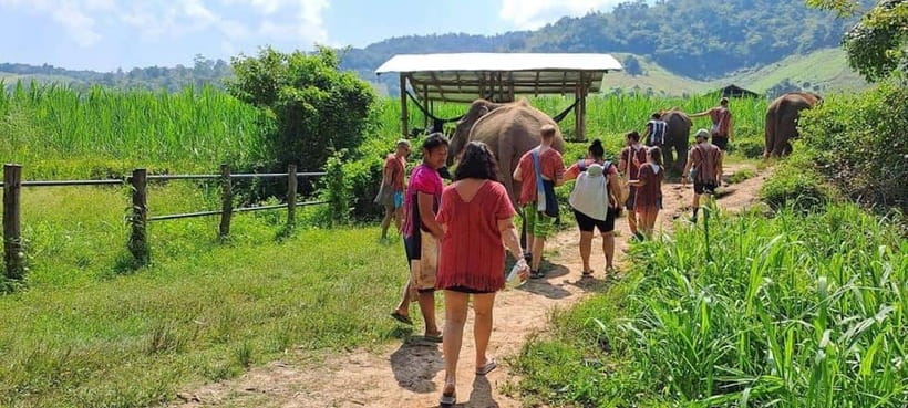 Chiang Mai: Elephant Sanctuary Local Hill Tribe Caretakers - Key takeaways before you go