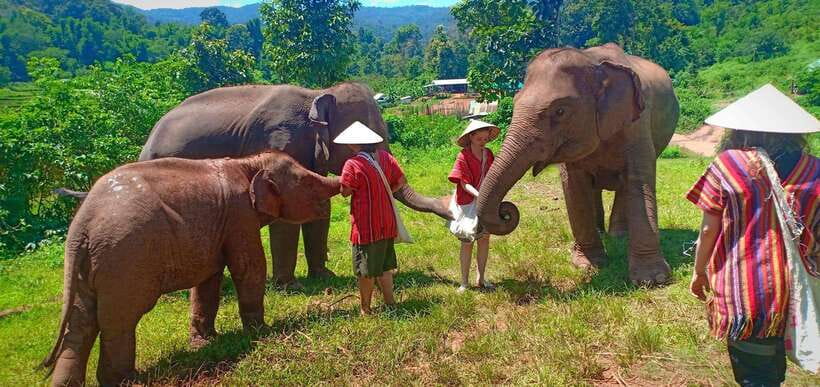 Chiang Mai: Elephant Sanctuary Local Hill Tribe Caretakers - Practical Packing List That Actually Matches the Day