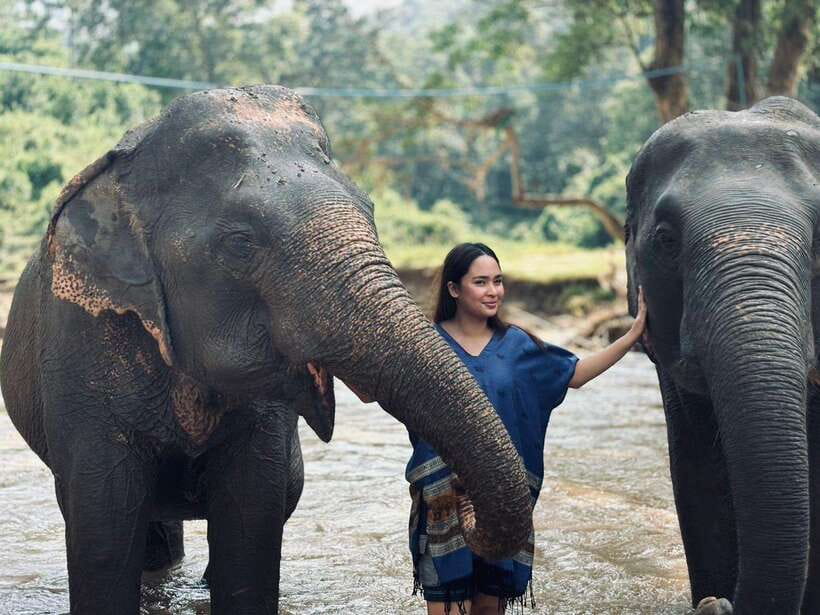 Chiang Mai: Elephant Sanctuary, Long Neck & Sticky Waterfall - How the 9-Hour Plan Works from Your Chiang Mai Hotel
