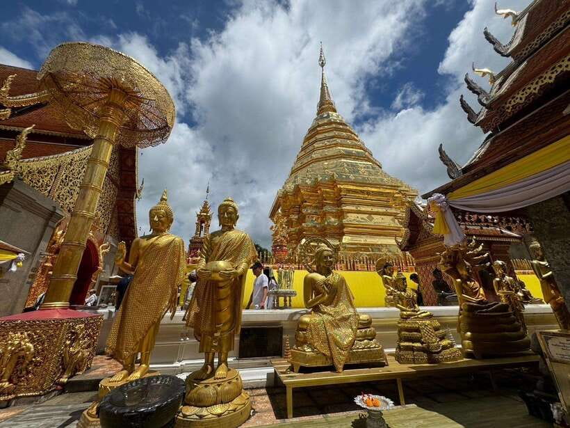 Chiang Mai: Elephant Sanctuary, Monk Trail & Doi Suthep Tour - Wat Pha Lat monk trail: your calm, forest-side start