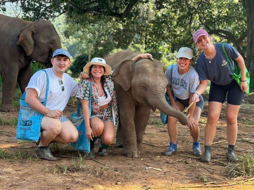Chiang Mai: Elephant Sanctuary, Waterfall & Bamboo Rafting - Key things to know before you go