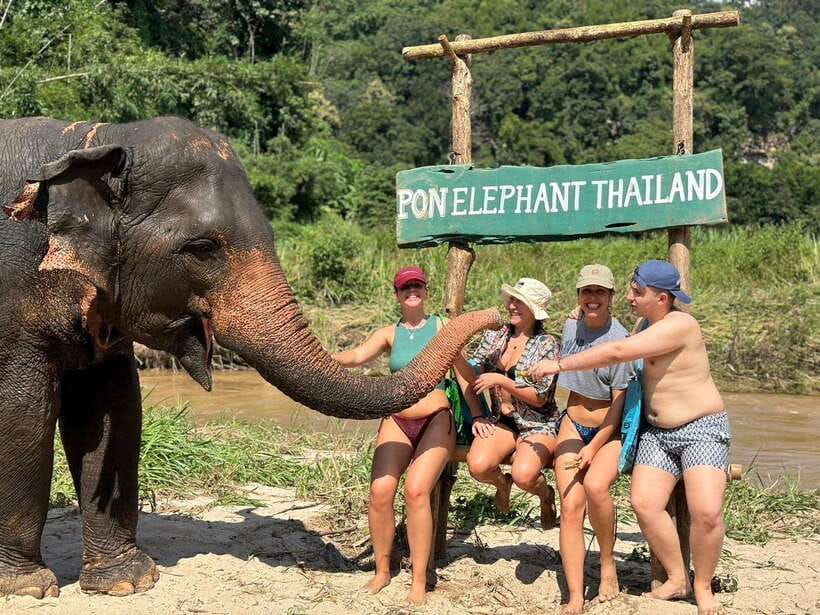 Chiang Mai: Elephant Sanctuary, Waterfall & Bamboo Rafting - From hotel pickup to jungle roads: how the day starts