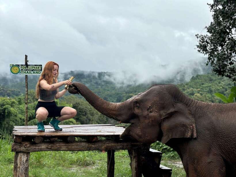 Chiang Mai: Elephant Sanctuary, Waterfall & Bamboo Rafting - Who should book this tour, and who should skip it