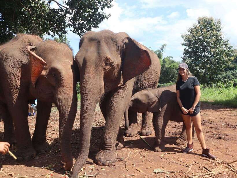 Chiang Mai: Elephant Sanctuary & Waterfall Group Tour - Inside Pon Elephant Thailand: briefing, feeding, and river bathing