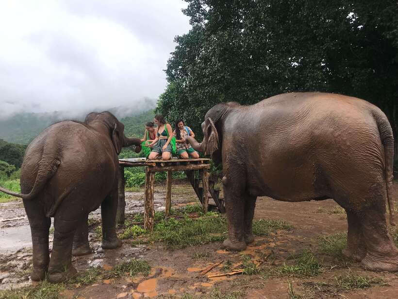 Chiang Mai: Elephant Sanctuary & Waterfall Group Tour - Lunch, fruits, and Thai desserts: where the tour earns its value