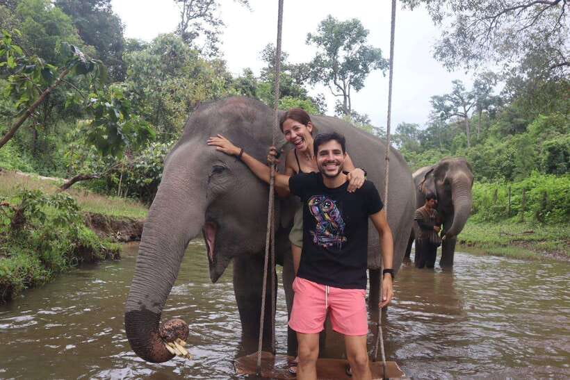 Chiang Mai: Elephant Sanctuary & Waterfall Group Tour - Price and logistics: why $50 for 7 hours is either a steal or a mismatch