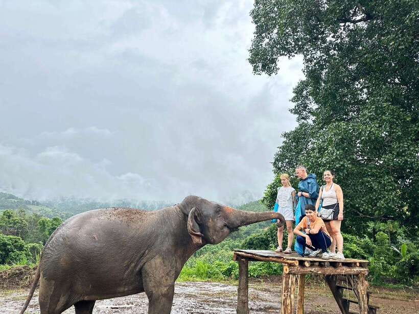 Chiang Mai: Elephant Sanctuary & Waterfall Group Tour - Who should book this Chiang Mai elephant and waterfall tour