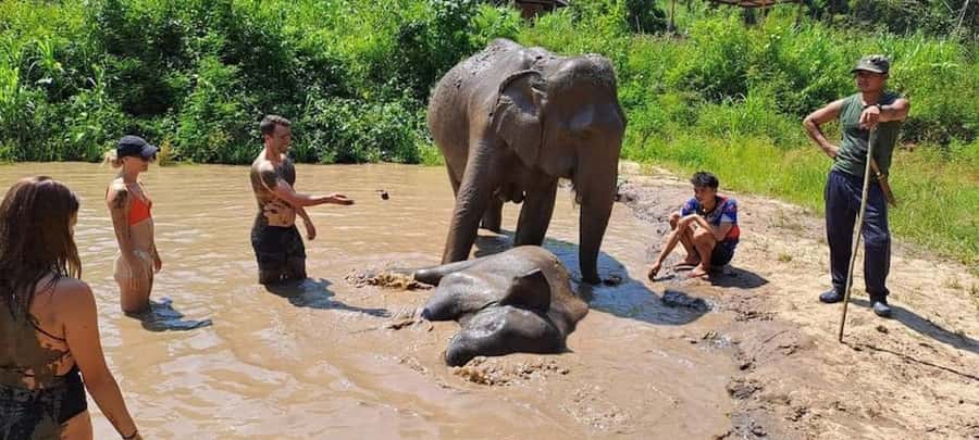 Chiang Mai Elephant Village Life: Long Neck & Bamboo Rafting - Key Things You Should Know Up Front