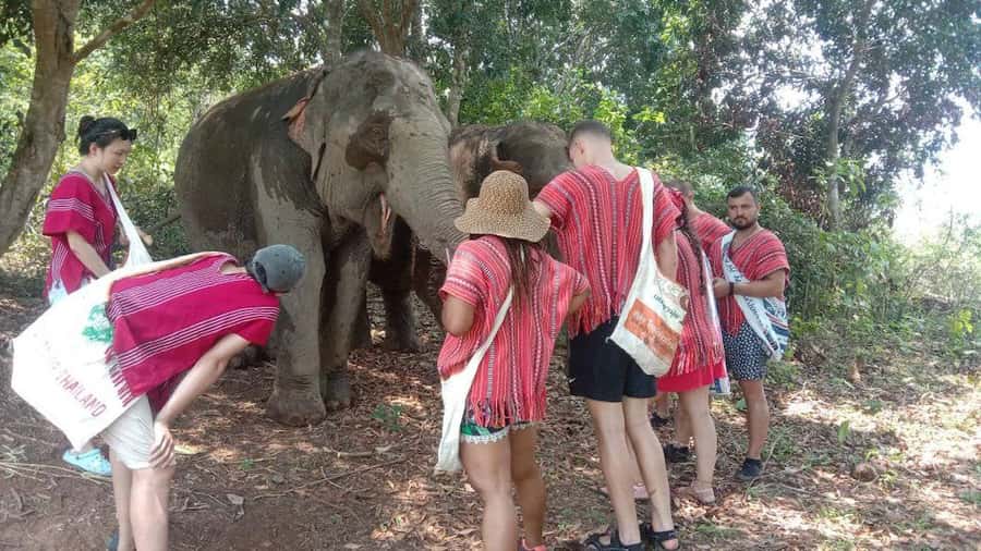 Chiang Mai Elephant Village Life: Long Neck & Bamboo Rafting - Bamboo Rafting on the River: Quiet, Green, and Surprisingly Restful