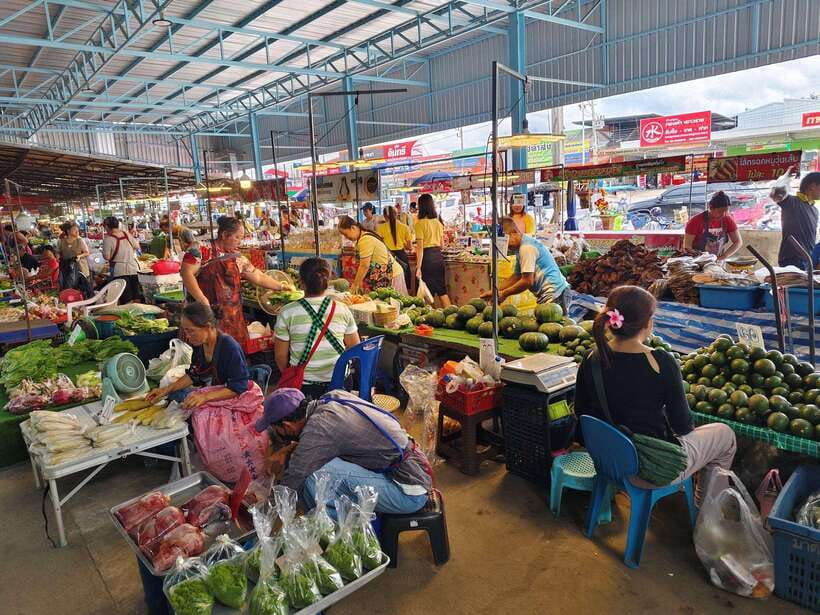 Chiang Mai: Elephants, Sticky Waterfalls, Market and Temple - A full-day Chiang Mai mix that actually makes sense