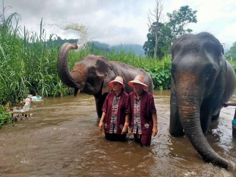 Chiang Mai: Elephants, Sticky Waterfalls, Market and Temple - Pickup, van time, and how the day runs (10:45 to late afternoon)