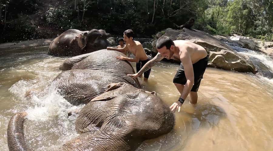 Chiang Mai : Ethical Elephant Sanctuary and ATV Adventure - Key Things That Make This Tour Worth Your Attention