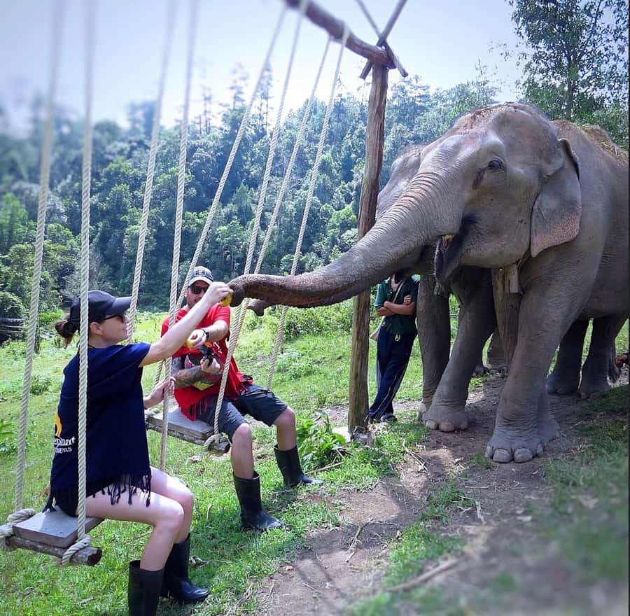 Chiang Mai : Ethical Elephant Sanctuary and ATV Adventure - River Time Rules: Elephant Choice, Health Checks, and Photo Policy