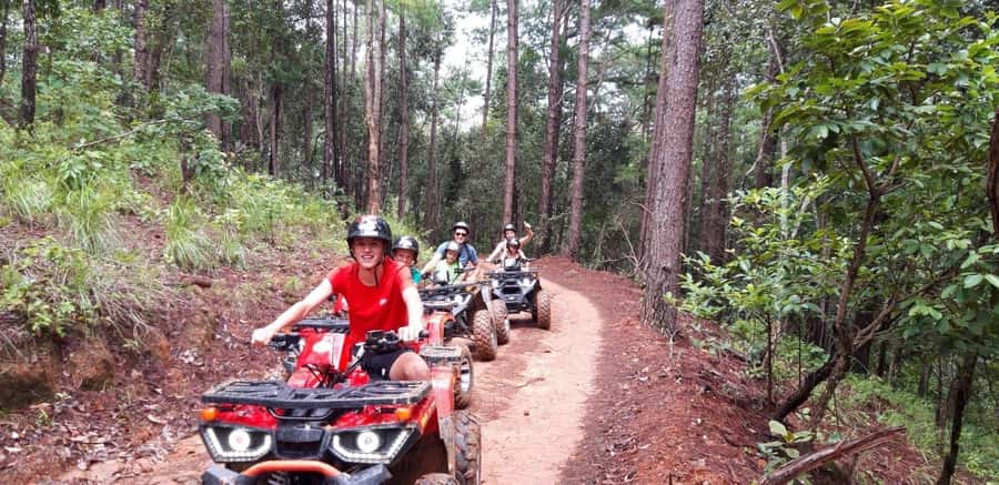Chiang Mai : Ethical Elephant Sanctuary and ATV Adventure - Lunch After Elephants: Local Food, Real Refuel
