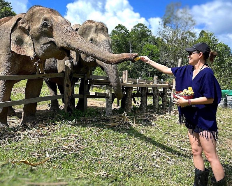 Chiang Mai : Ethical Elephant Sanctuary and ATV Adventure - Group Size Reality: Why Your Experience May Feel Crowded or Calm