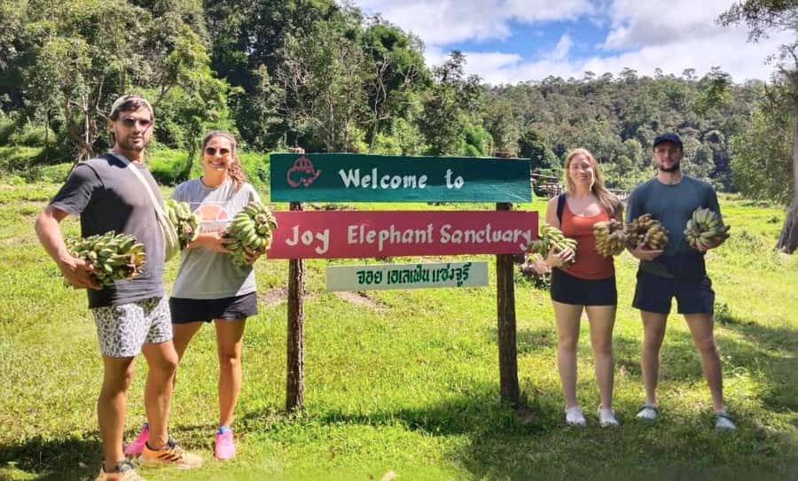 Chiang Mai: Ethical Elephant Sanctuary & Thai Cooking Class - Getting to Mae Wang: van comfort, then a 4x4 switch
