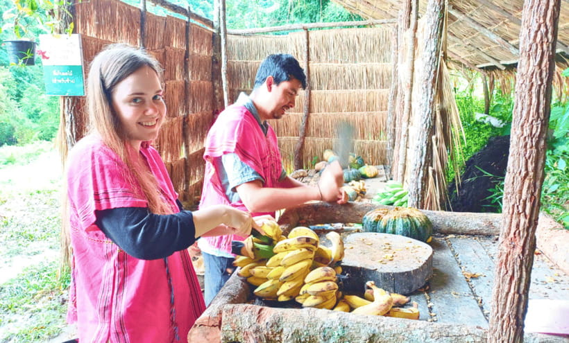 Chiang Mai: Ethical Half Day Elephant Sanctuary & Waterfall - Key moments that make this tour worth it