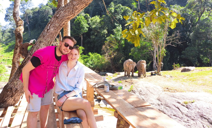 Chiang Mai: Ethical Half Day Elephant Sanctuary & Waterfall - Walking alongside the herd: what to watch for in the jungle