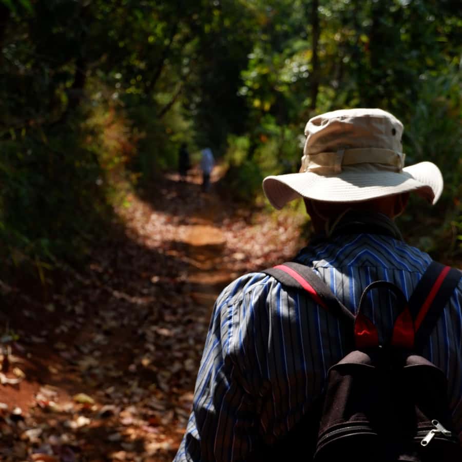 Chiang Mai: Full Day 5 Hill Tribes Tour - Key highlights to know before you go