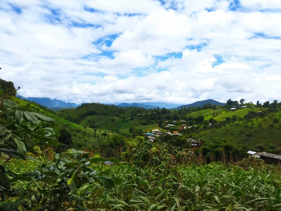 Chiang Mai: Full Day 5 Hill Tribes Tour - The vibe: a hill tribe day that’s about daily life, not staged shows