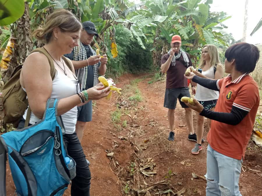 Chiang Mai: Full Day 5 Hill Tribes Tour - Karen village: time to slow down in the forest edge area