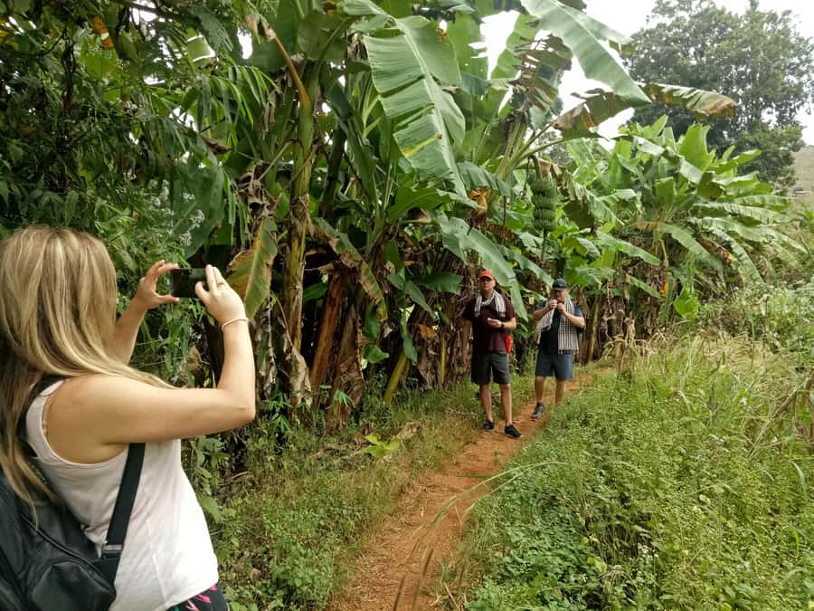 Chiang Mai: Full Day 5 Hill Tribes Tour - Akha village: a short walk with embroidery and basketry focus