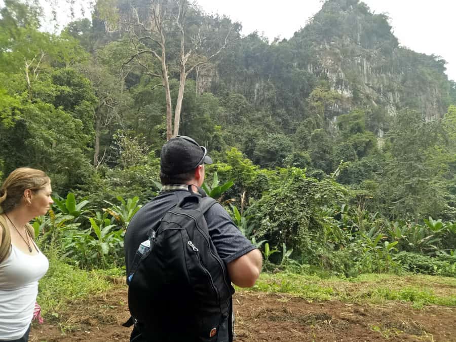 Chiang Mai: Full Day 5 Hill Tribes Tour - Trekking 3 to 4 hours: the part that defines your comfort level