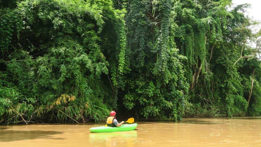 Chiang Mai: Full-Day Chiang Dao Caving & Jungle Kayaking - Key highlights worth planning for