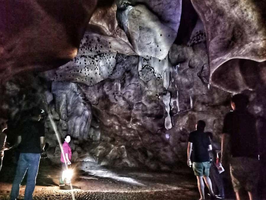 Chiang Mai: Full-Day Chiang Dao Caving & Jungle Kayaking - Transport on the way back: plan for bumpy time, not perfect comfort
