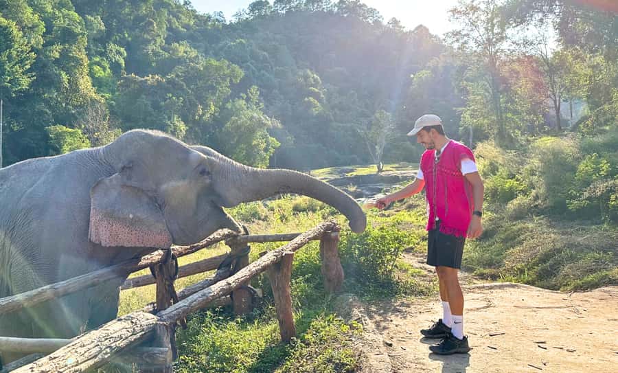 Chiang Mai: Full Day Ethical Elephant Sanctuary & Waterfall - Lunch in Mae Wang District, Plus the Value of a Real Break