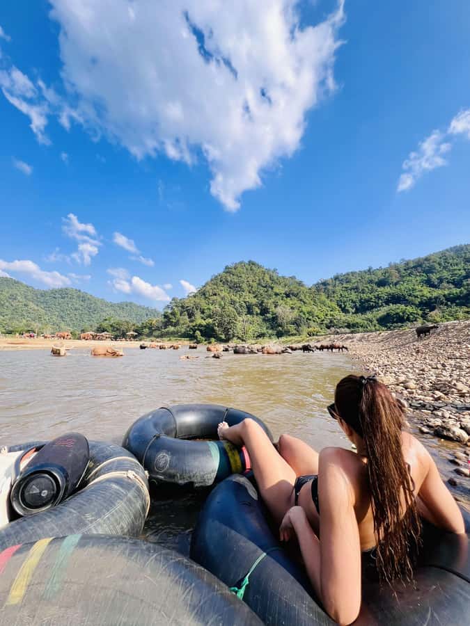 Chiang Mai Full-Day: Trekking, Tubing & Elephant Observation - Getting from Chiang Mai to Mae Taeng: where the day starts