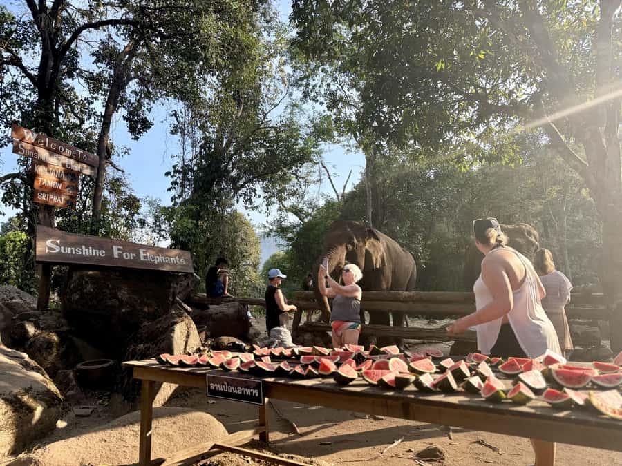 Chiang Mai Full-Day: Trekking, Tubing & Elephant Observation - Saa Gee Falls hidden waterfall slide: the Option 1 advantage