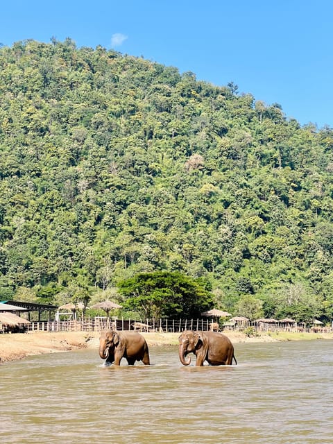 Chiang Mai Full-Day: Trekking, Tubing & Elephant Observation - Ethical elephant observation: respectful distance, real learning