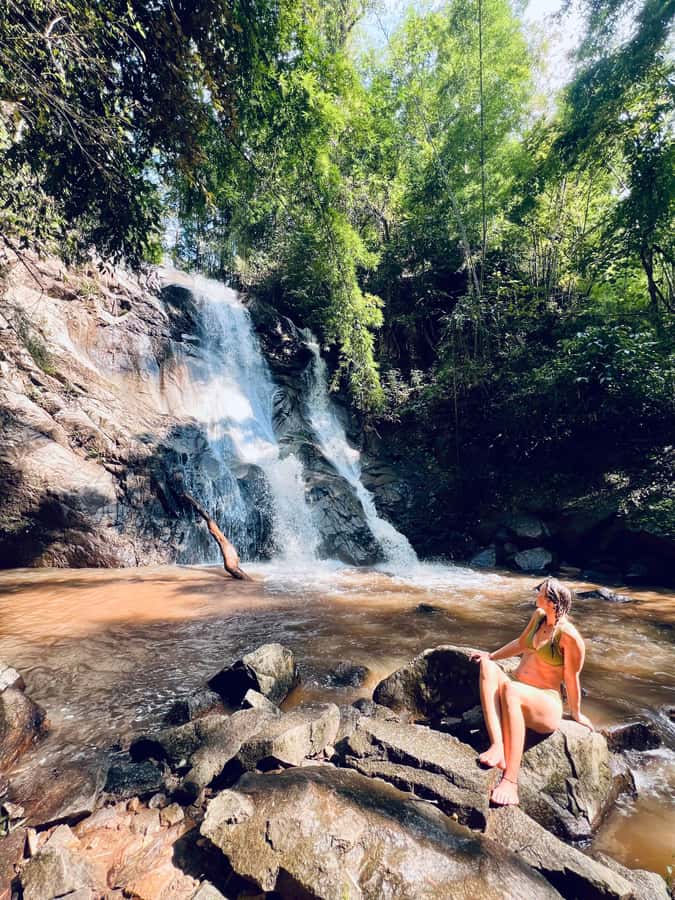 Chiang Mai Full-Day: Trekking, Tubing & Elephant Observation - Price and value for an $86 full-day outdoor day
