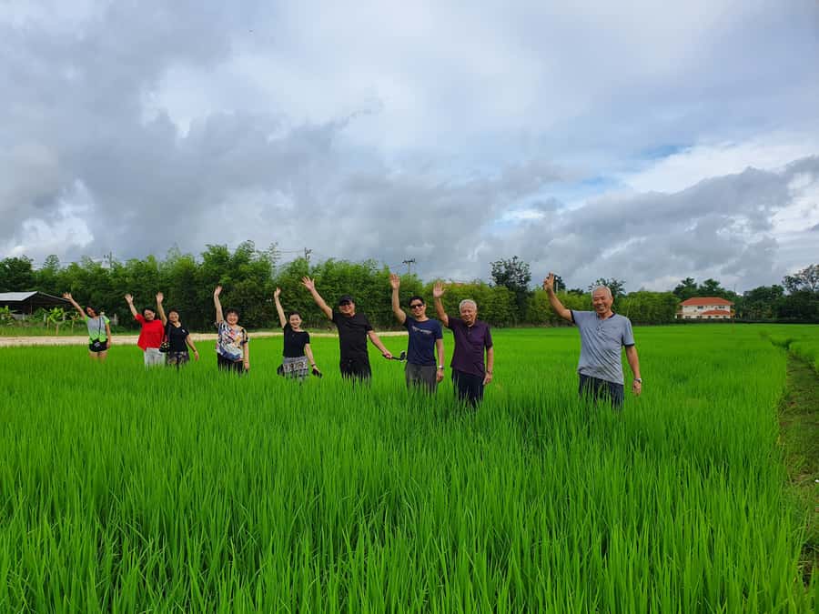 Chiang Mai: Full-Day Yoga & Meditation Experience with Lunch - Two Yoga Sessions With Props and Level-Based Options