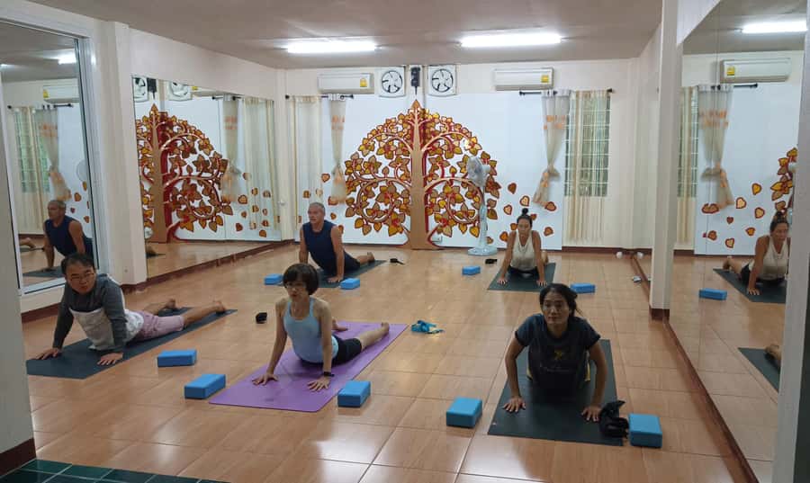 Chiang Mai: Full-Day Yoga & Meditation Experience with Lunch - 3 PM Mindfulness, Meditation Choice, and Restorative Yoga to Close the Day